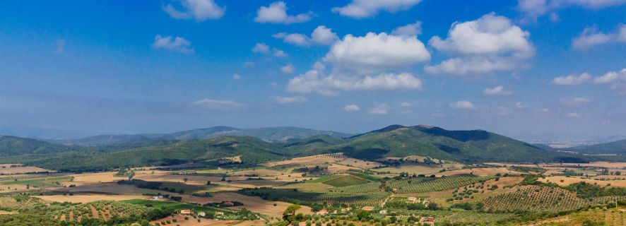 Civitavecchia: Geführte Tagestour in die Toskana mit Weinverkostung