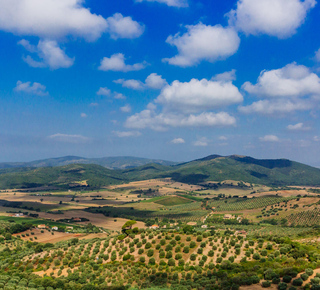 Esperienze gastronomiche a Civitavecchia