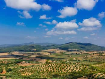 Civitavecchia: Tuscany Full-Day Guided Trip w/Wine Tasting