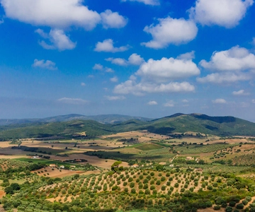 Civitavecchia: Toscane dagtrip met gids en wijnproeverij