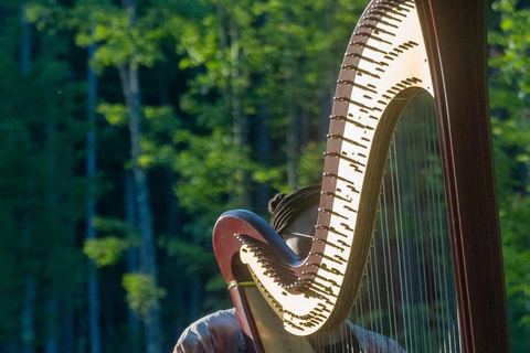 Hollis: New Moon Yoga Nidra, Reiki & Harp Sound Bath
