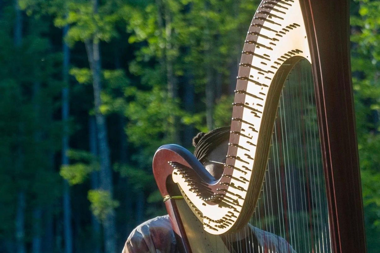 Hollis: New Moon Yoga Nidra, Reiki & Harp Sound Bath