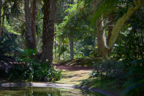 São Miguel: Botanical Gardens and Cave Tour