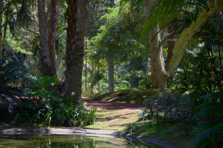 São Miguel: Botanical Gardens and Cave Tour