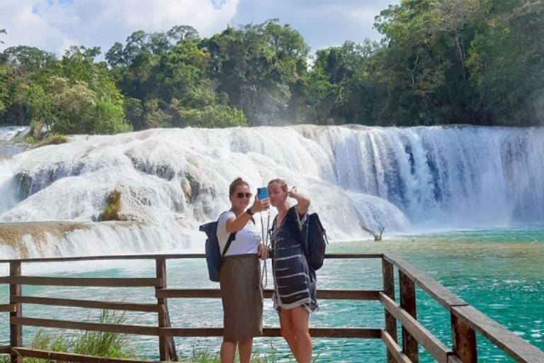 Van Palenque: Palenque, Agua Azul-watervallen en Misol-Ha