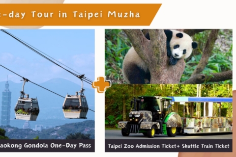 Kolejka linowa Taipei Makong: Bilet i kombinacjeKarnet jednodniowy + wstęp do zoo w Tajpej + pociąg wahadłowy do zoo