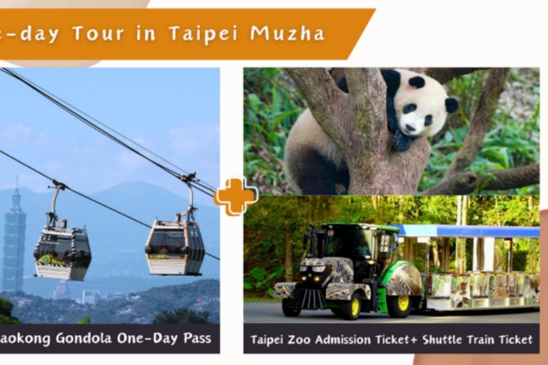 Kolejka linowa Taipei Makong: Bilet i kombinacjeKarnet jednodniowy