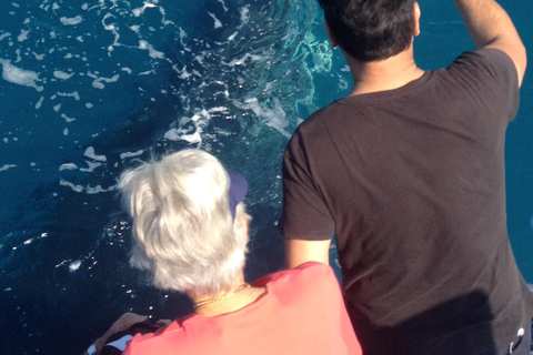 Noosa Thriller Whale Watching
