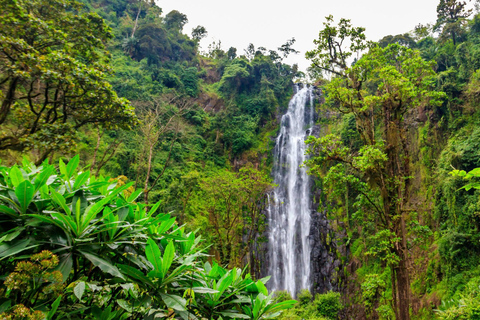 Excursion d&#039;une journée aux chutes d&#039;eau de Materuni