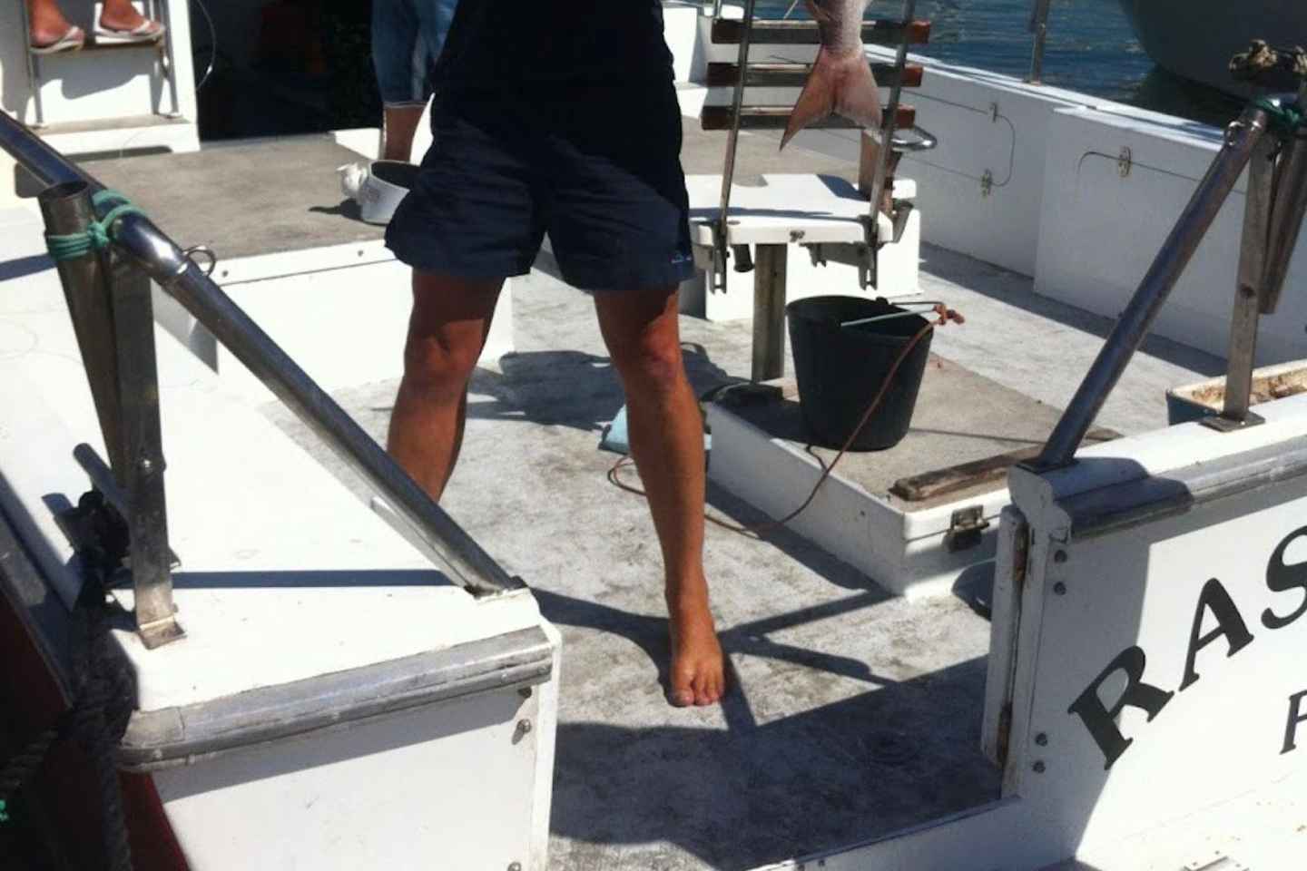 Quarteira : Pêche en bateau avec équipement en Algarve