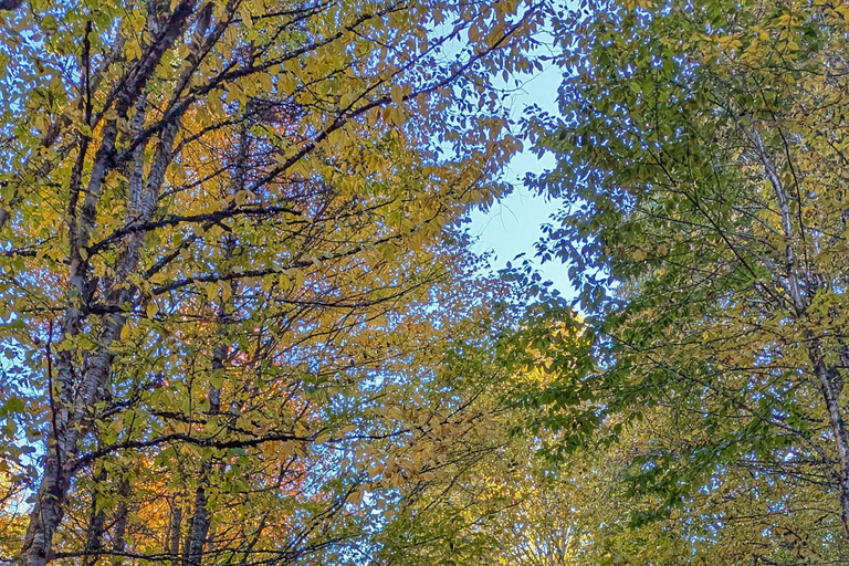 All-Inclusive Guided Hike to Jacques-Cartier National Park All-Inclusive Guided Hiking Tour