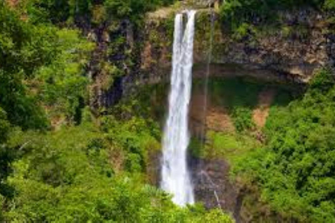 South West Mauritius : Ebony Forest Nature Escape with Lunch Into the Wild South: Ebony Forest Nature Escape with Lunch