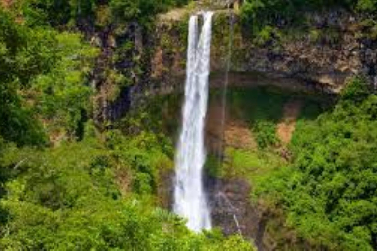 South West Mauritius : Ebony Forest Nature Escape with Lunch Into the Wild South: Ebony Forest Nature Escape with Lunch