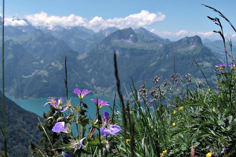 Lucerne: Guided Day Hike to Lucerne Ridge & Lake Views