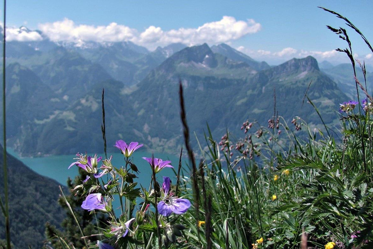 Lucerne: Guided Day Hike to Lucerne Ridge & Lake Views