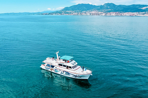 Boat Adventure: XXL Slides, Snorkeling, Activities, Lunch, and Pickup Boat Adventure: XXL Slides, Snorkeling, Activities, Lunch, and Pick-Up