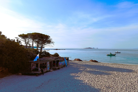 Porto-Vecchio: beginner diving in the Cerbicale Islands in the reserve