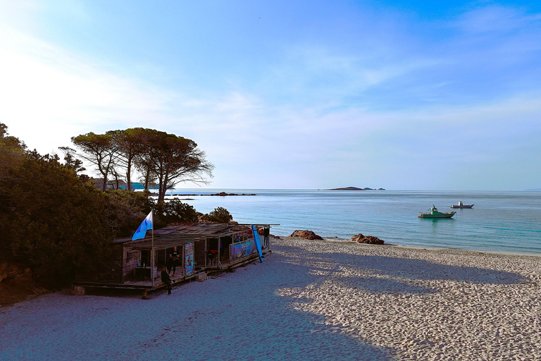 Porto-Vecchio: beginner diving in the Cerbicale Islands in the reserve