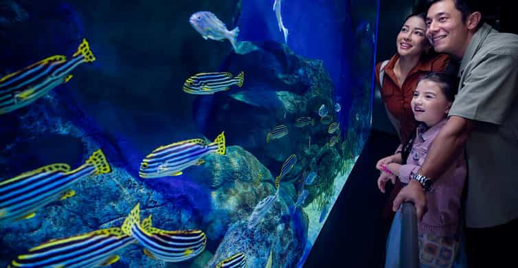 Singapore: Singapore Oceanarium Entrance E-Ticket photo 3