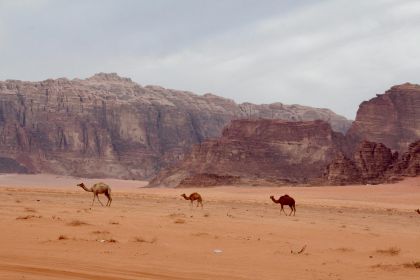 Wadi Rum, 4x4 Desert Adventure Tour with Optional Camping - Housity