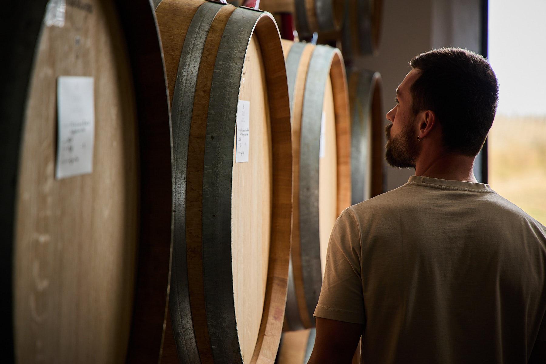 Weinprobe & Keller-Tour – Boutique-Weingut, Montepulciano