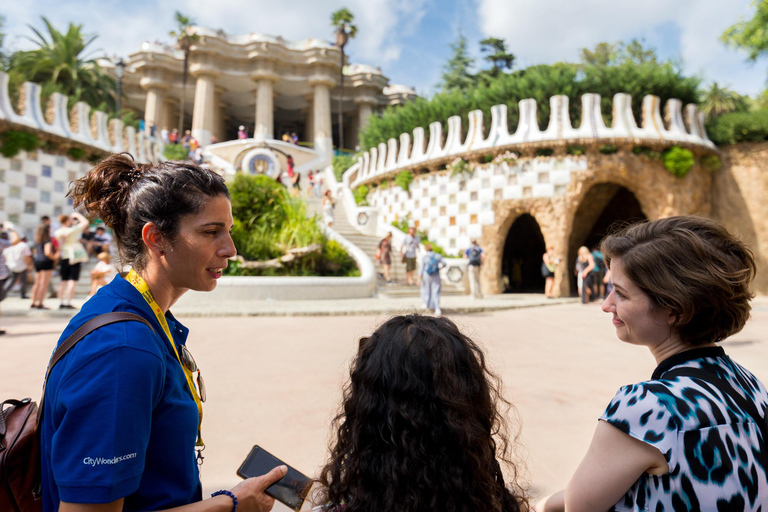 Barcelona: Wycieczka z przewodnikiem po Parku Guell ze wstępem bez kolejki