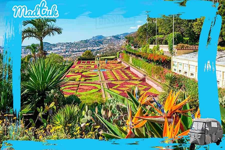 Madeira: Botanischer Garten + Altstadt-Tuk-Tuk-Tour mit MadTuk. Foto: GetYourGuide Madeira: Botanischer Garten + Altstadt-Tuk-Tuk-Tour mit MadTuk. Foto: GetYourGuide