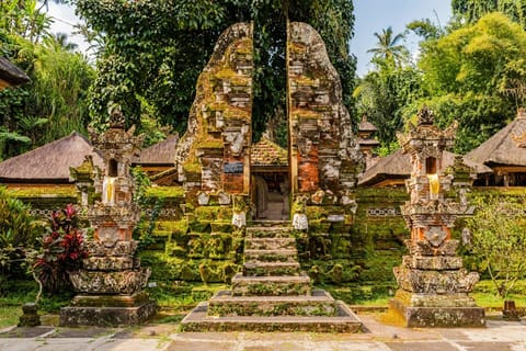 Bali: Gunung Kawi Sebatu, Waterfall, Rice Terrace Tour