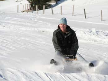 Switzerland: Private Sledging Day Tour