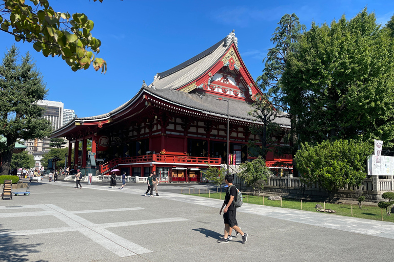 Tokio tour één dag privétour per auto met engelse chauffeur