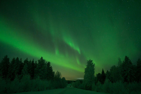 Rovaniemi: Aurora Hunt with 95% Success Rate, 4 people group Rovaniemi: Aurora Hunt with 95% Success Rate, PRIVATE
