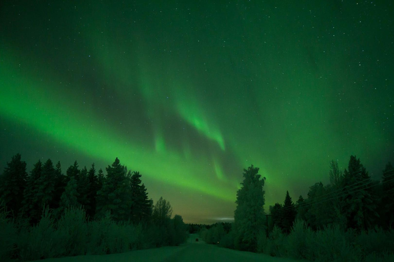 Rovaniemi: Aurora Hunt with 95% Success Rate, 4 people group Rovaniemi: Aurora Hunt with 95% Success Rate, PRIVATE