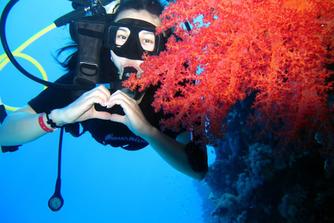 Sharm El Sheikh: Ras Mohamed-kryssning med snorkling och lunch