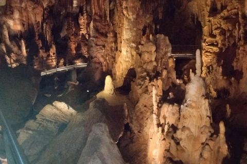 Thessaloniki: Petralona Cave & Beach Private Day Trip