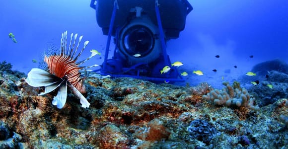 Mauritius: Submarine Dive Experience