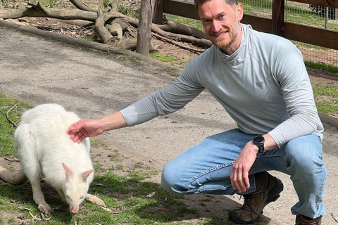 De Adelaide: Acaricie um coala e faça um passeio histórico por Hahndorf