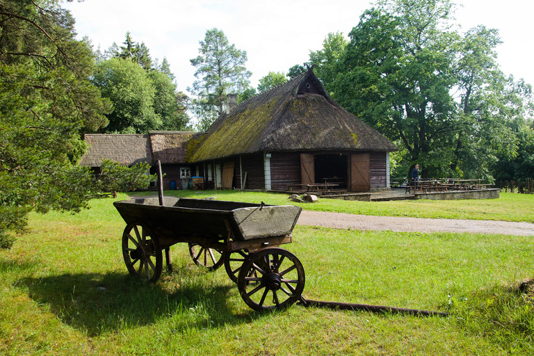 Estonian Countryside and Lahemaa Day Trip from Tallinn
