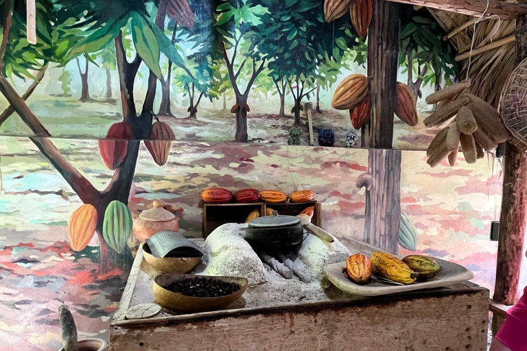 Sabor Dominicano: Rum, Chocolate and Culture Private Tour Sabor Dominicano: Rum, Chocolate and Culture Private Tour