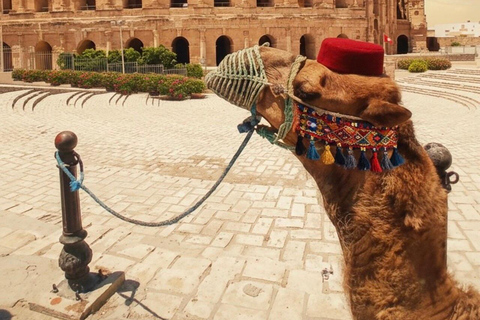 VIP: Tunis, Carthage & Kairouan: 2-Day COMBO for best value! Pick-up Hammamet / Nabeul