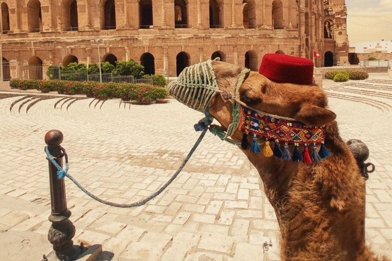 VIP: Tunis, Carthage & Kairouan: 2-Day COMBO for best value! Pick-up Hammamet / Nabeul