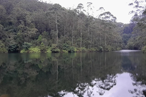 Pekoe Trail 6-9: Guided 6 Day Trail with Hotels & Transfers