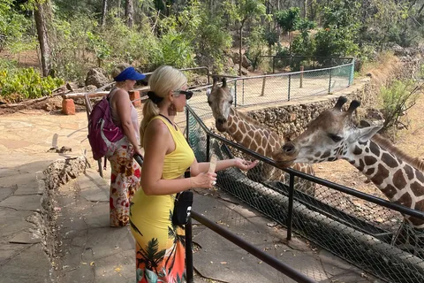 Mombasa Full Day City tour & Haller Park