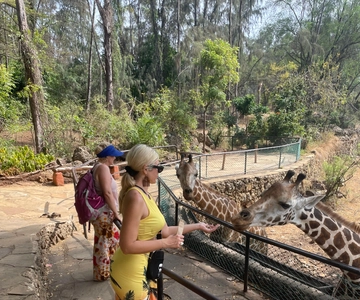 Mombasa Full Day City tour & Haller Park