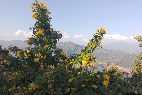From Kathmandu: 8-Day Honeymoon Tour with Chitwan & Pokhara