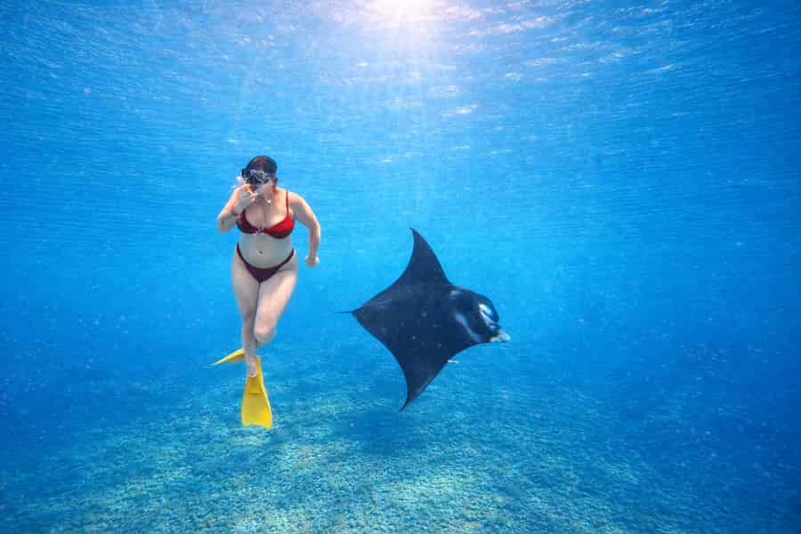 Ab Bali: Schnorcheln am Manta Point Nusa Penida & Landtour. Foto: GetYourGuide