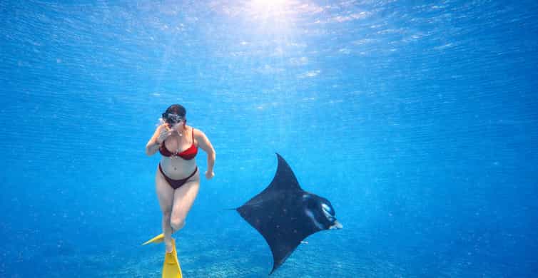 バリ発：ヌサペニダのマンタポイントでスノーケリング＆ランドツアーを