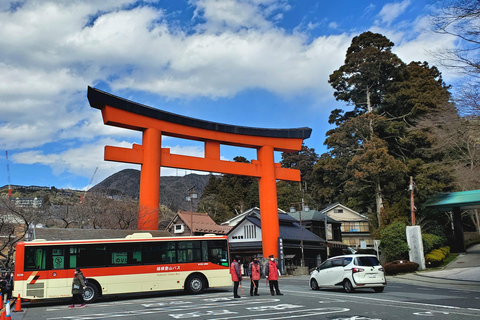 Mount Fuji & Hakone Full-Day Private Tour (Customizable) Hakone & Mount Fuji Tour w/English speaking guide