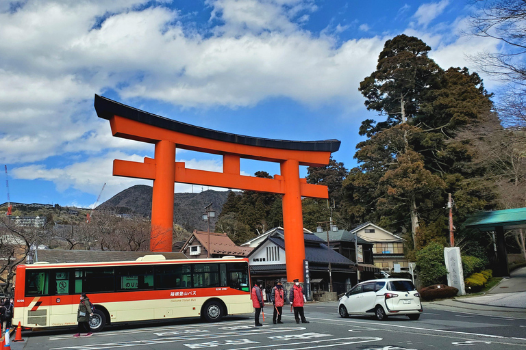 Mount Fuji & Hakone Full-Day Private Tour (Customizable) Hakone & Mount Fuji Tour w/English speaking guide