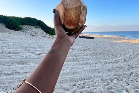 JHB: 4-Day Adventure; Panorama Route, Eswatini, & Mozambique