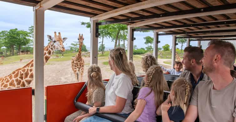 Emmen: Wildlands Adventure Zoo and Rimbula River Boat Ride photo 10